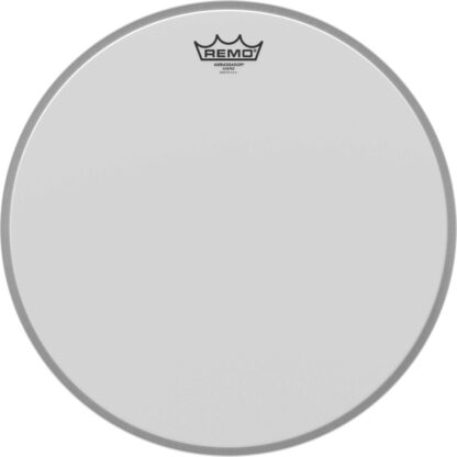 REMO 16'' AMBASSADOR SABLEE G. CAISSE