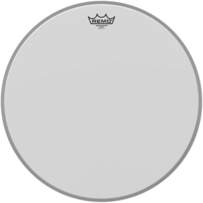 REMO 18'' AMBASSADOR SABLEE G. CAISSE