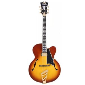 D'ANGELICO EXCEL EXL-1 DARK ICED TEA BURST ETUI