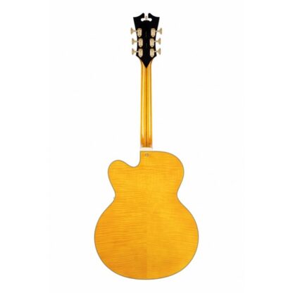 D'ANGELICO EXCEL EXL-1 AMBER – Image 2