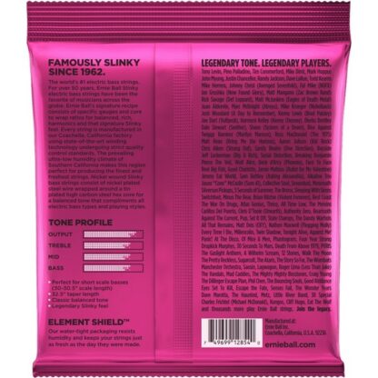 ERNIE BALL SHORT SCALE 40-100 – Image 2