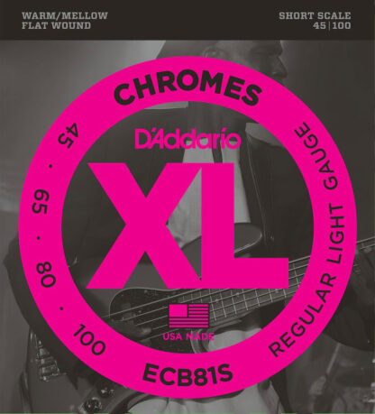 D'ADDARIO BASSE ECB81S SHORT SCALE 45 100 FLATWOUND