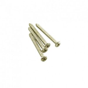 WD MUSIC NICKEL NECK SCREWS FNC