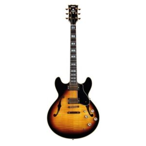 YAMAHA SA 2200 BROWN SUNBURST DEMI CAISSE AVEC ETUI