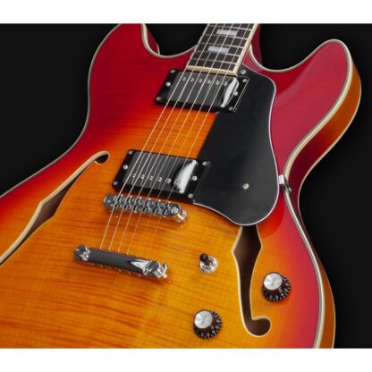 LARRY CARLTON H7 CS HOLLOW BODY EN – Image 2