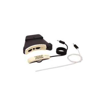 LR BAGGS MICRO ANTHEM ELEMENT PRÉAMPLI ROSACE