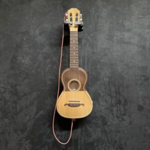 OCCASION ALFREDO MATOS MACHADO CAVAQUINHO ELECTRO ETUI