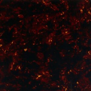 PICKGUARD ADHESIF A DECOUPER ACOUSTIC / TORTOISE 29 X 24 X 0.6CM