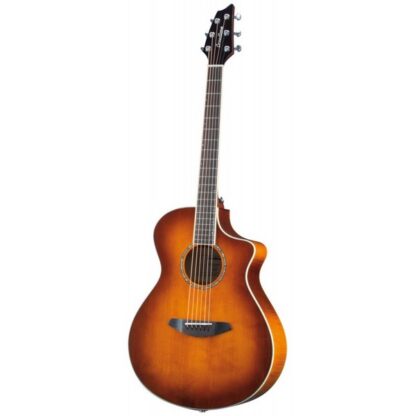 BREEDLOVE STUDIO CONCERT SDC25CES CW FISHMAN