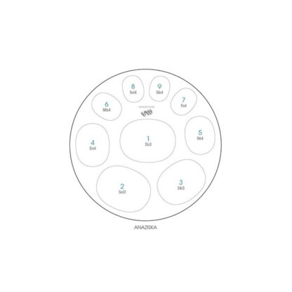 SPACEDRUM EVOLUTION 9 NOTES - ANAZISKA AVEC HOUSSE – Image 4