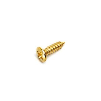 VIS PICKGUARD FENDER STYLE GOLD X20