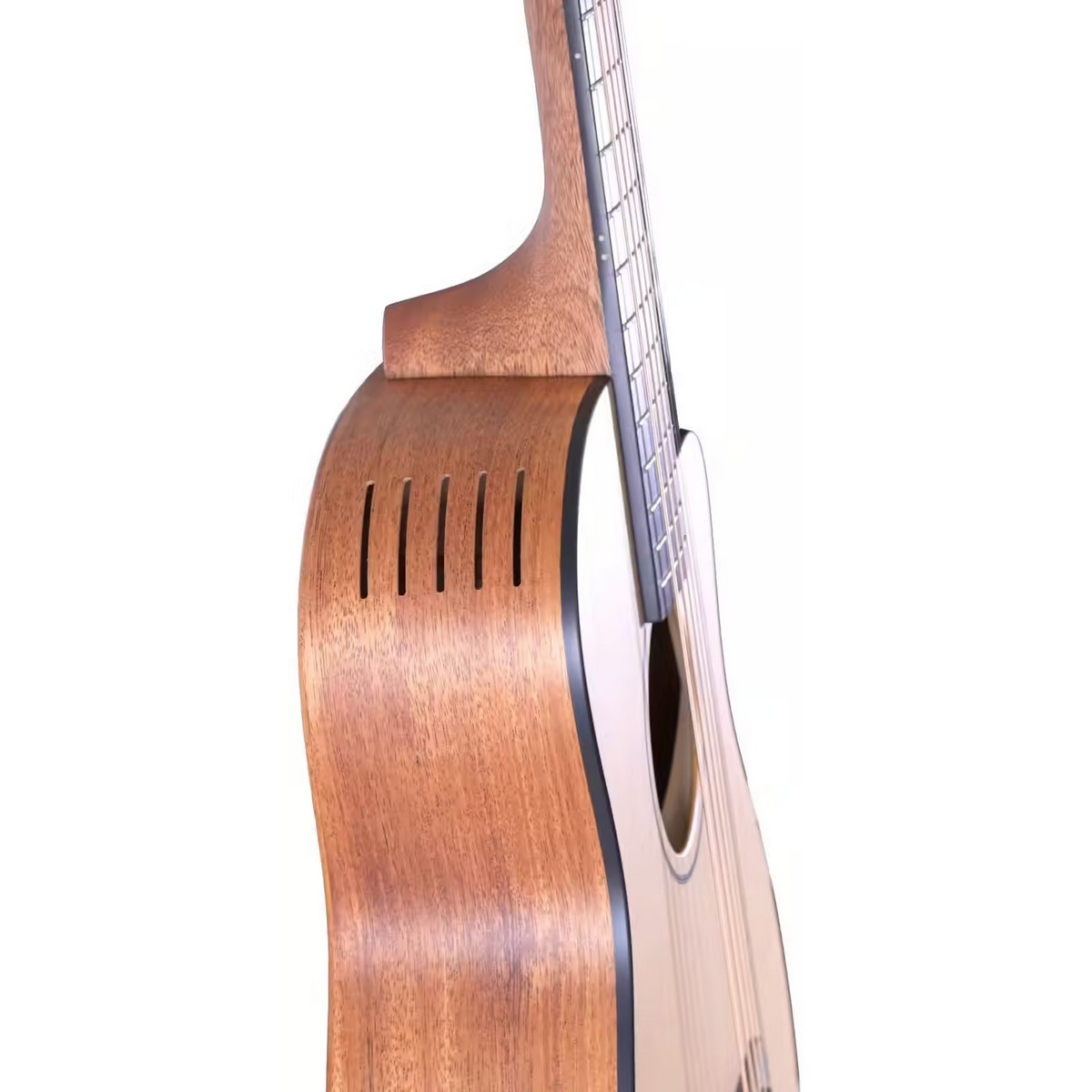 FURCH PIONEER CM LRB1 HOUSSE – Image 3