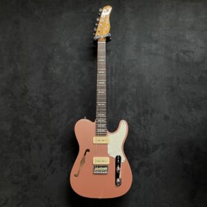 OCCASION SIRE LARRY CARLTON TELE AVEC HOUSSE