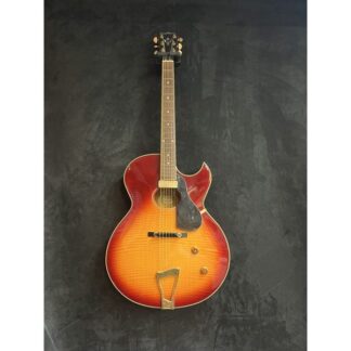 OCCASION WASHBURN J4HB AVEC ETUI