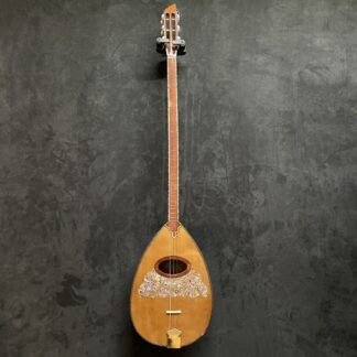 OCCASION SAZ ELECTRO AVEC HOUSSE