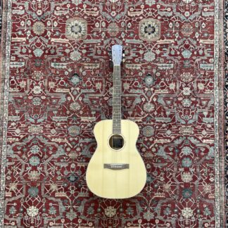OCCASION JAMES NELIGAN ACOUSTIQUE ASY-A HOUSSE